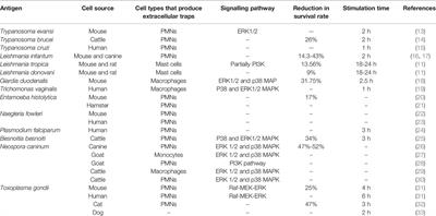 The State of Art of Extracellular Traps in Protozoan Infections (Review)